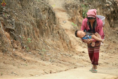 ภาพ No.17717:พิธีแสดงตนเป็นพุทธมามกะกลั่นแผ่นดินและโปรยทรายเพื่อสถาปนาพระเจดีย์สวรรค์วัดบ้านแม่แสนสุข