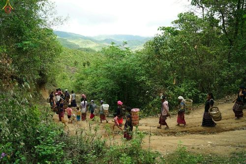 ภาพ No.17720:พิธีแสดงตนเป็นพุทธมามกะกลั่นแผ่นดินและโปรยทรายเพื่อสถาปนาพระเจดีย์สวรรค์วัดบ้านแม่แสนสุข