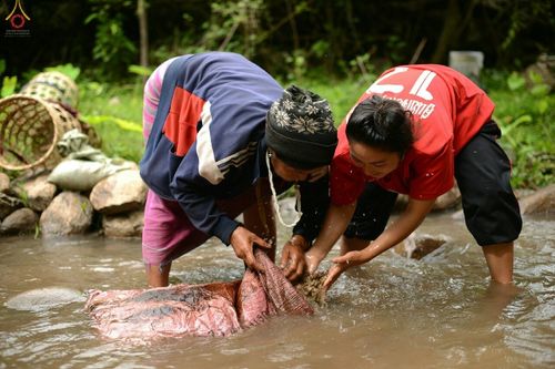 ภาพ No.17724:พิธีแสดงตนเป็นพุทธมามกะกลั่นแผ่นดินและโปรยทรายเพื่อสถาปนาพระเจดีย์สวรรค์วัดบ้านแม่แสนสุข