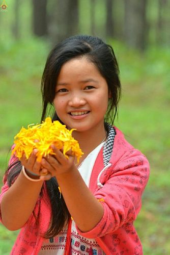 ภาพ No.17806:ธุดงค์ธรรมชัยอัญเชิญพระบรมสารีริกธาตุฯ ณ วัดบ้านขุน อำเภอฮอด จังหวัดเชียงใหม่