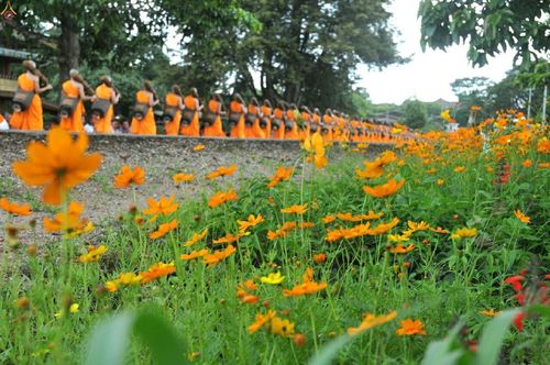 ภาพ No.17815:ธุดงค์ธรรมชัยอัญเชิญพระบรมสารีริกธาตุฯ ณ วัดบ้านขุน อำเภอฮอด จังหวัดเชียงใหม่