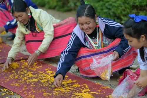 ภาพ No.17842:ธุดงค์ธรรมชัยอัญเชิญพระบรมสารีริกธาตุฯ ณ วัดบ้านขุน อำเภอฮอด จังหวัดเชียงใหม่