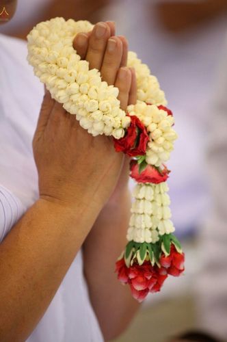 ภาพ No.18149:ประมวลภาพวันครูผู้ค้นพบวิชชาธรรมกาย 27 กันยายน พ.ศ. 2558 ณ วัดพระธรรมกาย