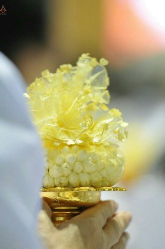 ภาพ No.18156:ประมวลภาพวันครูผู้ค้นพบวิชชาธรรมกาย 27 กันยายน พ.ศ. 2558 ณ วัดพระธรรมกาย