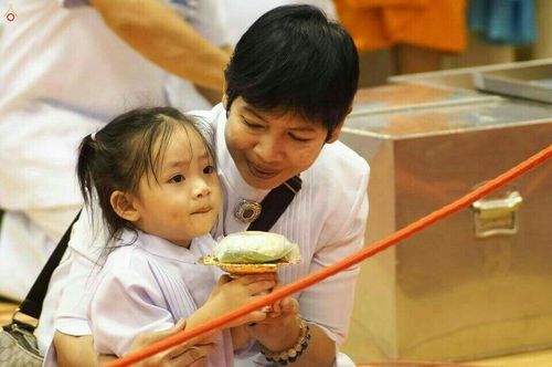 ภาพ No.18326:ประมวลภาพวันครูผู้ค้นพบวิชชาธรรมกาย 27 กันยายน พ.ศ. 2558 ณ วัดพระธรรมกาย