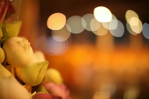 ภาพ No.18379:ประมวลภาพวันครูผู้ค้นพบวิชชาธรรมกาย 27 กันยายน พ.ศ. 2558 ณ วัดพระธรรมกาย