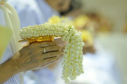 ภาพ No.18426:ประมวลภาพวันครูผู้ค้นพบวิชชาธรรมกาย 27 กันยายน พ.ศ. 2558 ณ วัดพระธรรมกาย