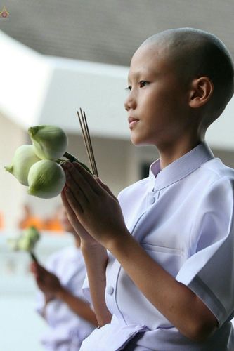 ภาพ No.18881:ประมวลภาพพิธีบรรพชาสามเณรยุวธรรมทายาท รุ่น 24 โครงการ 2