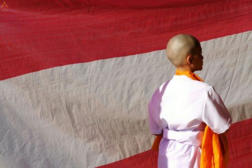 ภาพ No.18882:ประมวลภาพพิธีบรรพชาสามเณรยุวธรรมทายาท รุ่น 24 โครงการ 2