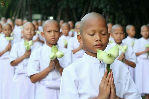 ภาพ No.18885:ประมวลภาพพิธีบรรพชาสามเณรยุวธรรมทายาท รุ่น 24 โครงการ 2