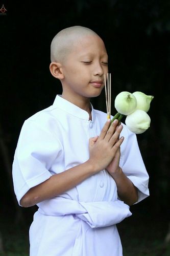 ภาพ No.18891:ประมวลภาพพิธีบรรพชาสามเณรยุวธรรมทายาท รุ่น 24 โครงการ 2