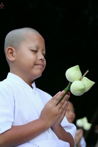 ภาพ No.18895:ประมวลภาพพิธีบรรพชาสามเณรยุวธรรมทายาท รุ่น 24 โครงการ 2