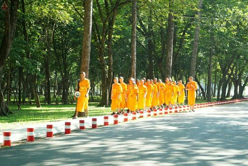 ภาพ No.18924:ประมวลภาพพิธีบรรพชาสามเณรยุวธรรมทายาท รุ่น 24 โครงการ 2