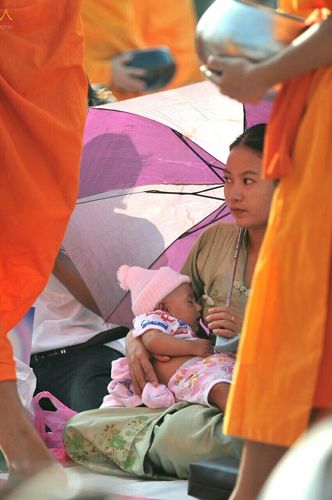 ภาพ No.18980:ประมวลภาพตักบาตรพระ 10,000 รูป ณ ถนนเอกชัย จ.สมุทรสาคร
