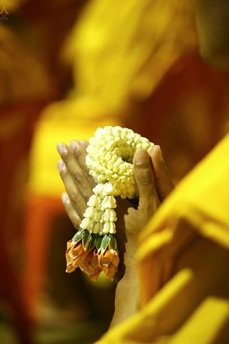 ภาพ No.19082:วันออกพรรษา ณ วัดพระธรรมกาย