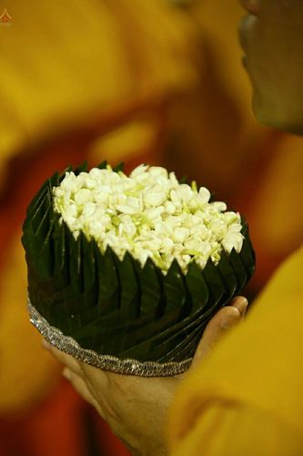 ภาพ No.19104:วันออกพรรษา ณ วัดพระธรรมกาย