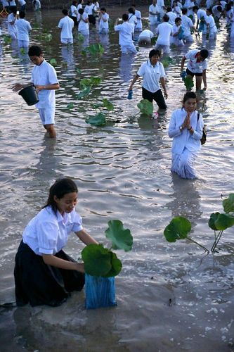 ภาพ No.19191:ประมวลภาพวันอาทิตย์ต้นเดือนที่ 1 พฤศจิกายน พ.ศ. 2558