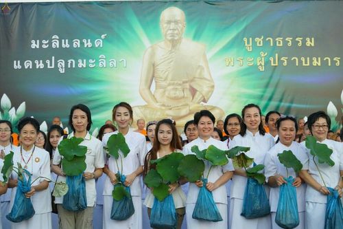 ภาพ No.19195:ประมวลภาพวันอาทิตย์ต้นเดือนที่ 1 พฤศจิกายน พ.ศ. 2558