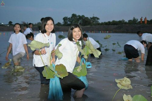 ภาพ No.19197:ประมวลภาพวันอาทิตย์ต้นเดือนที่ 1 พฤศจิกายน พ.ศ. 2558