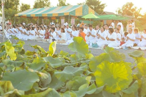 ภาพ No.19199:ประมวลภาพวันอาทิตย์ต้นเดือนที่ 1 พฤศจิกายน พ.ศ. 2558