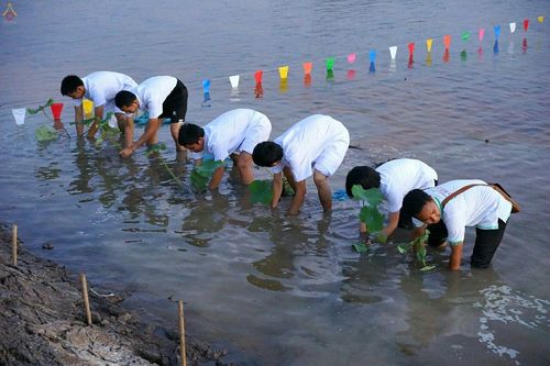 ภาพ No.19216:ประมวลภาพวันอาทิตย์ต้นเดือนที่ 1 พฤศจิกายน พ.ศ. 2558