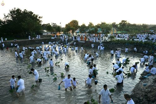 ภาพ No.19226:ประมวลภาพวันอาทิตย์ต้นเดือนที่ 1 พฤศจิกายน พ.ศ. 2558