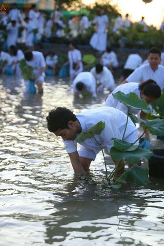 ภาพ No.19230:ประมวลภาพวันอาทิตย์ต้นเดือนที่ 1 พฤศจิกายน พ.ศ. 2558