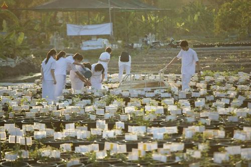 ภาพ No.19238:ประมวลภาพวันอาทิตย์ต้นเดือนที่ 1 พฤศจิกายน พ.ศ. 2558