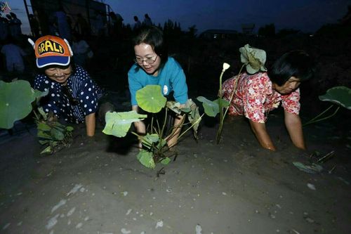 ภาพ No.19250:ประมวลภาพวันอาทิตย์ต้นเดือนที่ 1 พฤศจิกายน พ.ศ. 2558