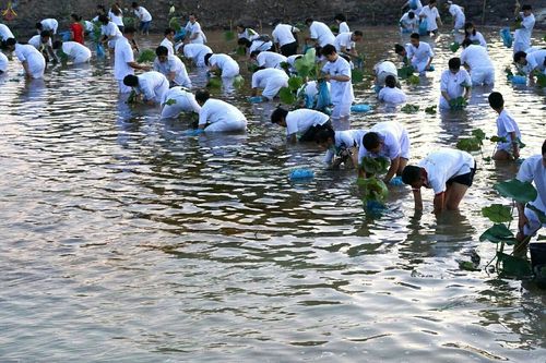 ภาพ No.19285:ประมวลภาพวันอาทิตย์ต้นเดือนที่ 1 พฤศจิกายน พ.ศ. 2558