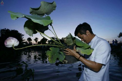 ภาพ No.19286:ประมวลภาพวันอาทิตย์ต้นเดือนที่ 1 พฤศจิกายน พ.ศ. 2558