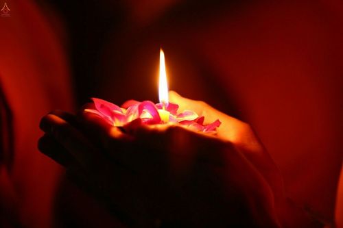 ภาพ No.19785:ประมวลภาพพิธีสถาปนามหาวิหารพระมงคลเทพมุนี (สด จนฺทสโร) ณ คลองบางนางแท่น