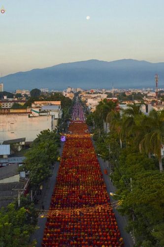 ภาพ No.19555:ประมวลภาพตักบาตรพระนานาชาติ 10,000 รูป จ.เชียงใหม่ วันอาทิตย์ 27 ธันวาคม พ.ศ. 2558
