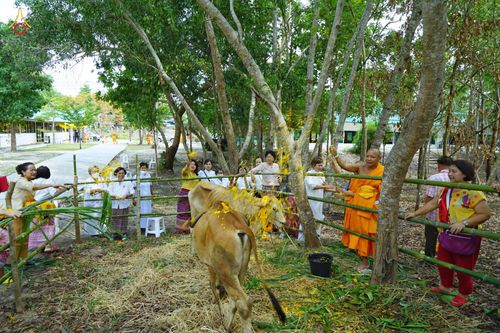 ภาพ No.80938:พิธีตักบาตรพระ ๒๑๖ รูป และ พิธีถวายมหาสังฆทาน ๕๒ วัด ฉลองครบรอบ ๑๖ ปี ธุดงคสถานพรรัตนแพร่ วันอังคารที่ ๙ พฤษภาคม พ.ศ.๒๕๖๖ ณ ธุดงคสถานพรรัตนะ อำเภอวังชิ้น จังหวัดแพร่