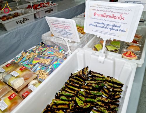 ภาพ No.119081:พิธีถวายภัตตาหารเป็นสังฆทาน แด่คณะพระธรรมยาตรา วันที่ 27 มกราคม พ.ศ. 2567 ณ อนุสรณ์สถานบางปลา จ.นครปฐม