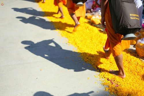 ภาพ No.19890:ธรรมยาตราฯ ปีที่ 5 วันเสาร์ที่ 2 มกราคม พ.ศ. 2559