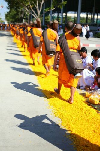 ภาพ No.19891:ธรรมยาตราฯ ปีที่ 5 วันเสาร์ที่ 2 มกราคม พ.ศ. 2559