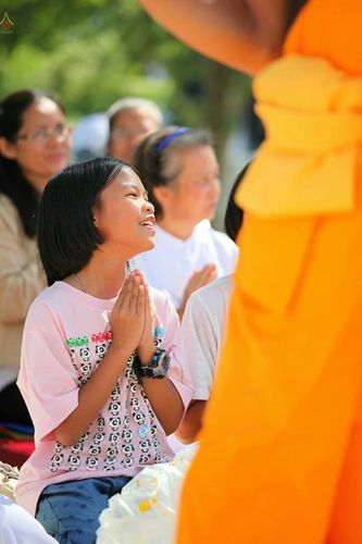 ภาพ No.19893:ธรรมยาตราฯ ปีที่ 5 วันเสาร์ที่ 2 มกราคม พ.ศ. 2559