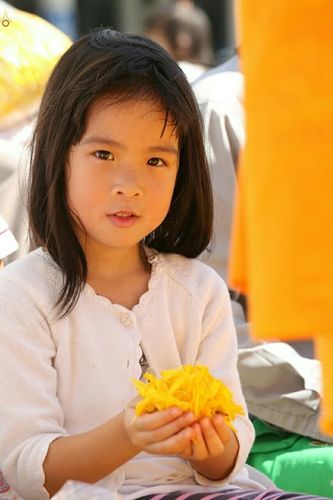 ภาพ No.19944:ธรรมยาตราฯ ปีที่ 5 วันเสาร์ที่ 2 มกราคม พ.ศ. 2559