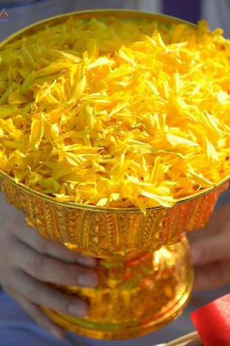 ภาพ No.19954:ธรรมยาตราฯ ปีที่ 5 วันเสาร์ที่ 2 มกราคม พ.ศ. 2559