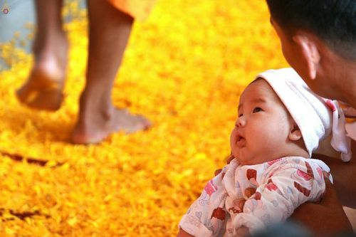 ภาพ No.19960:ธรรมยาตราฯ ปีที่ 5 วันเสาร์ที่ 2 มกราคม พ.ศ. 2559