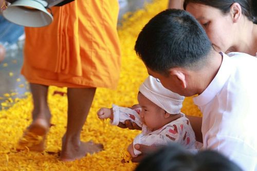 ภาพ No.19959:ธรรมยาตราฯ ปีที่ 5 วันเสาร์ที่ 2 มกราคม พ.ศ. 2559