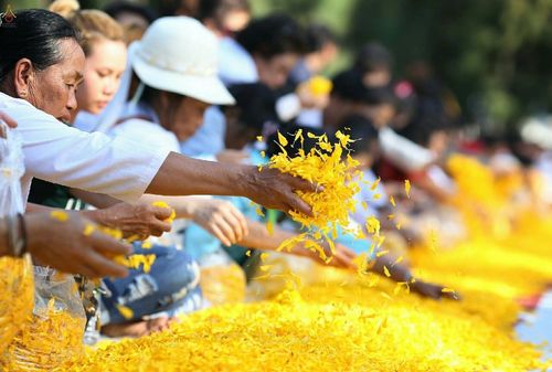 ภาพ No.19974:ธรรมยาตราฯ ปีที่ 5 วันเสาร์ที่ 2 มกราคม พ.ศ. 2559