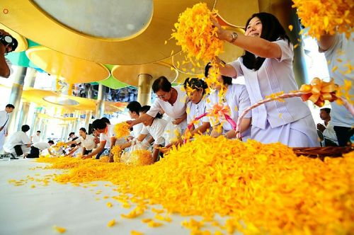 ภาพ No.19982:ธรรมยาตราฯ ปีที่ 5 วันเสาร์ที่ 2 มกราคม พ.ศ. 2559