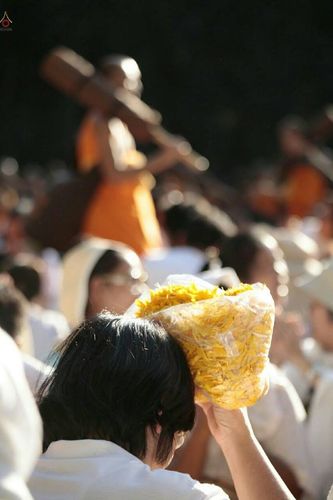 ภาพ No.20019:ธรรมยาตราฯ ปีที่ 5 วันเสาร์ที่ 2 มกราคม พ.ศ. 2559