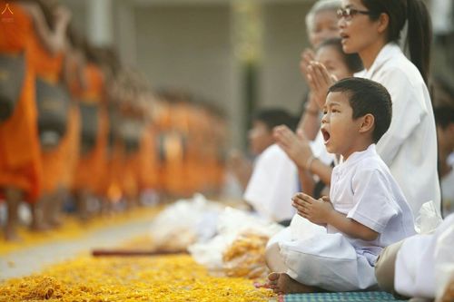 ภาพ No.20032:ธรรมยาตราฯ ปีที่ 5 วันเสาร์ที่ 2 มกราคม พ.ศ. 2559