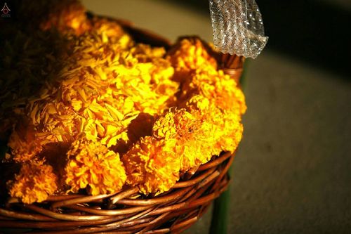 ภาพ No.20039:ธรรมยาตราฯ ปีที่ 5 วันเสาร์ที่ 2 มกราคม พ.ศ. 2559