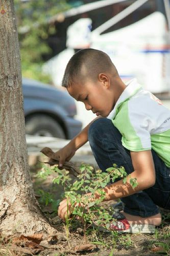 ภาพ No.20146:ธรรมยาตราฯ ปีที่ 5 วันอาทิตย์ที่ 3 มกราคม พ.ศ. 2559