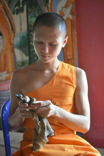 ภาพ No.20198:ธรรมยาตราฯ ปีที่ 5 วันอาทิตย์ที่ 3 มกราคม พ.ศ. 2559