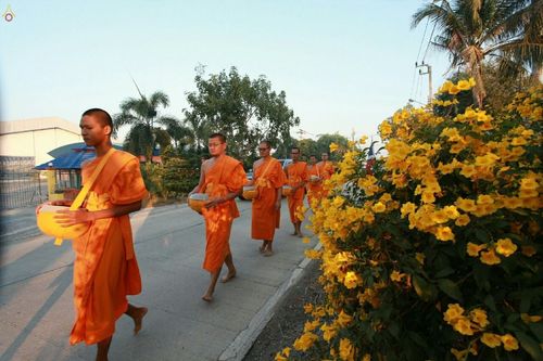 ภาพ No.20376:ธรรมยาตราฯ ปีที่ 5 วันอังคารที่ 5 มกราคม พ.ศ. 2559